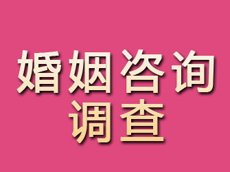 镇安婚姻咨询调查