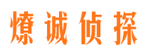 镇安出轨调查